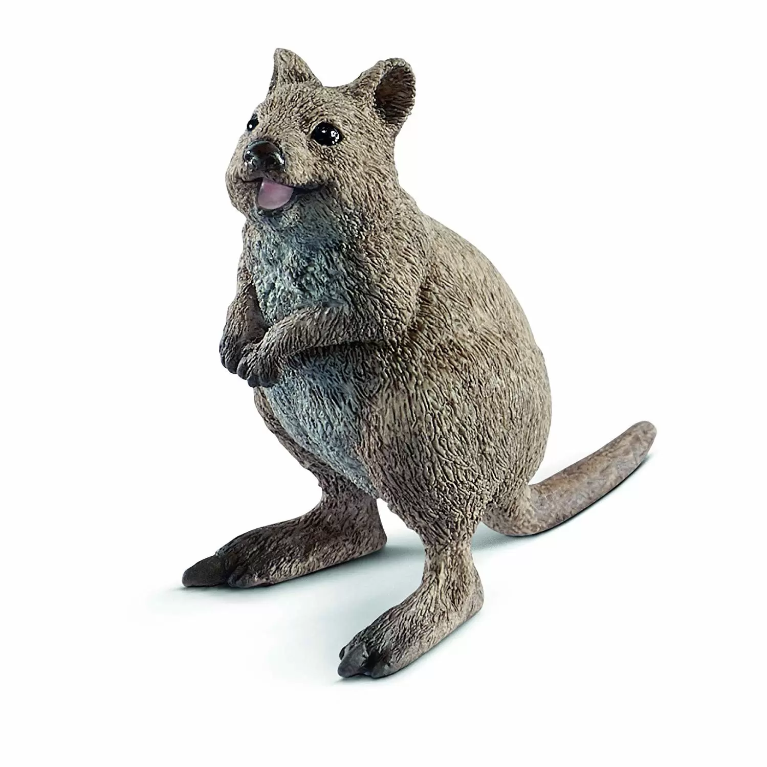 Wild Life - Quokka