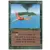 Revised - 3ème édition - Oiseaux de paradis