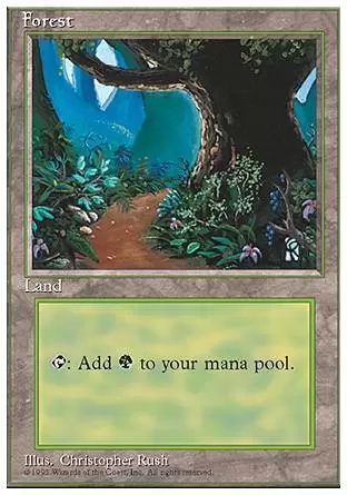 4ème Edition - Forêt