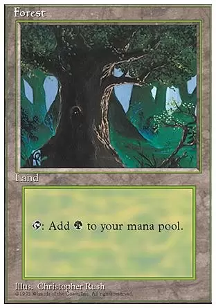4ème Edition - Forêt