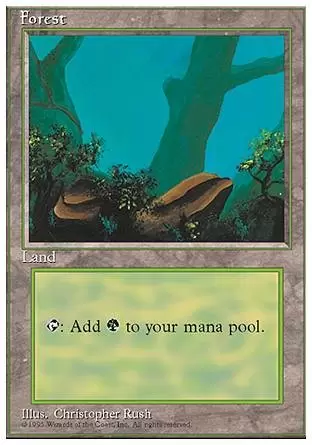 4ème Edition - Forêt