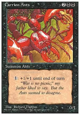 4ème Edition - Fourmis charognardes