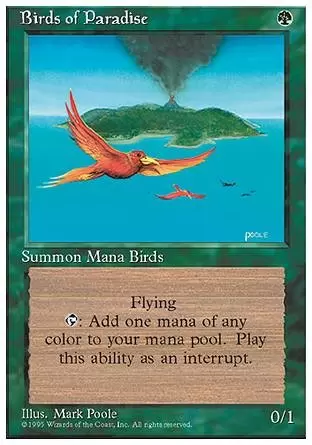 4ème Edition - Oiseaux de paradis