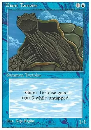 4ème Edition - Tortue marine géante