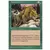 Aspects du loup