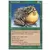 Crapaud butor
