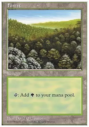 5ème Edition - Forêt