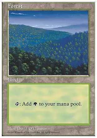 5ème Edition - Forêt