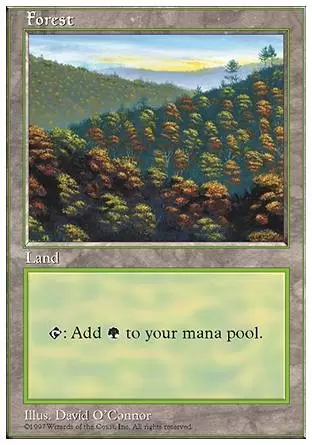 5ème Edition - Forêt