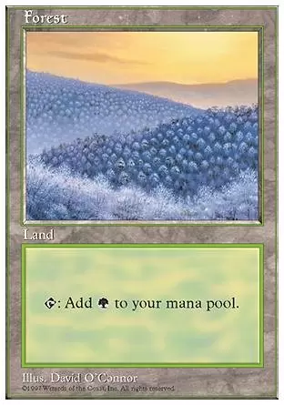 5ème Edition - Forêt