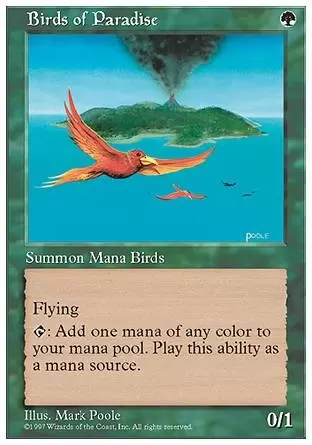 5ème Edition - Oiseaux de paradis