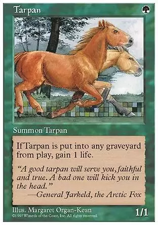 5ème Edition - Tarpan