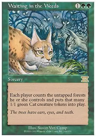 6ème Edition - Cachés sous les herbes folles