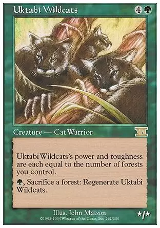6ème Edition - Chats sauvages de l\'Ouktabi