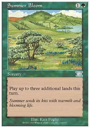 6ème Edition - Floraison estivale