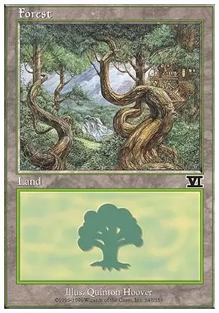 6ème Edition - Forêt