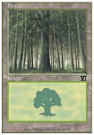6ème Edition - Forêt