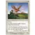 Griffon daradjân