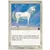 Licorne royale