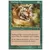 Tigre en chasse