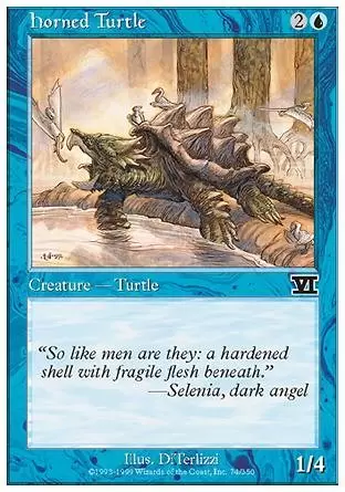 6ème Edition - Tortue cornue