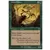 Araignée géante