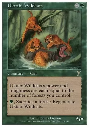 7ème Edition - Chats sauvages de l\'Ouktabi