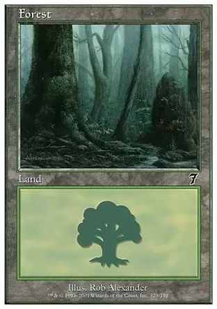 7ème Edition - Forêt