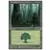 Forêt