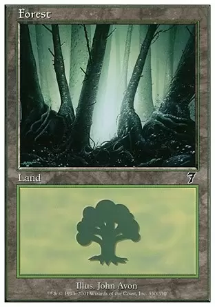 7ème Edition - Forêt