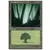 7ème Edition - Forêt