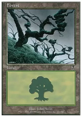 7ème Edition - Forêt