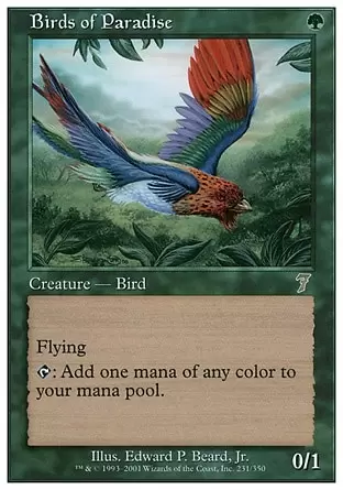 7ème Edition - Oiseaux de paradis