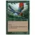 Oiseaux de paradis