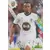 Jordan Ayew - FC Lorient