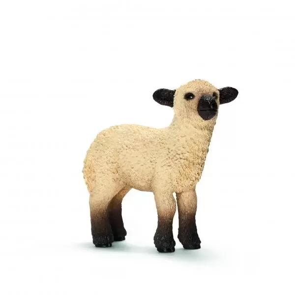 Farm World - Agneau Shropshire