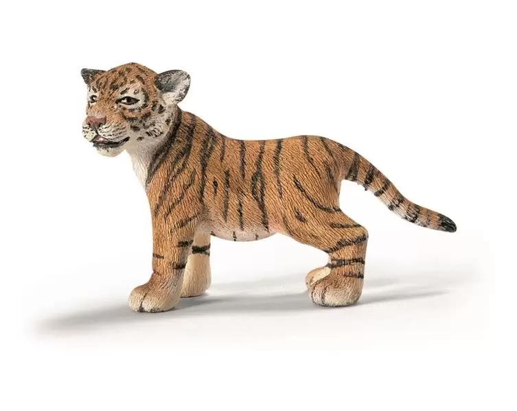 Wild Life - Bébé tigre du Bengale
