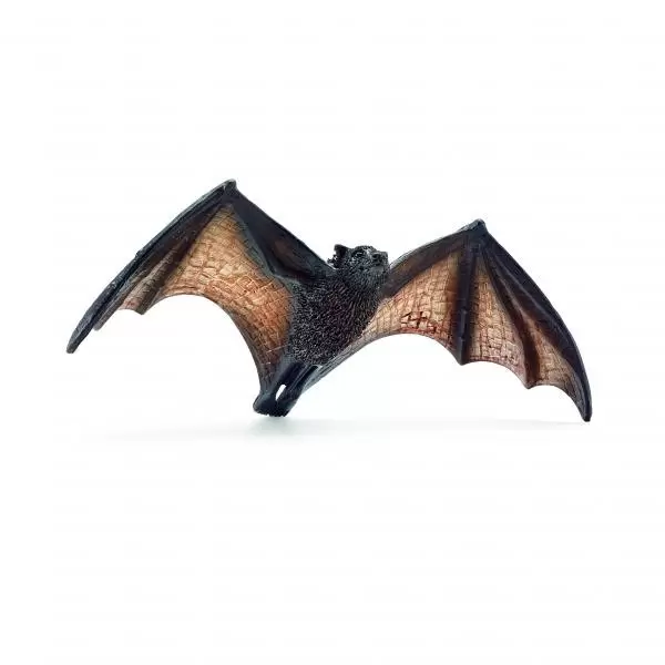 Wild Life - Chauve souris