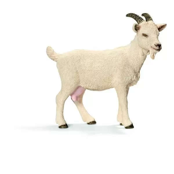Farm World - Chèvre domestique