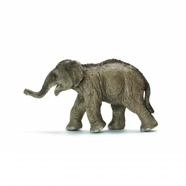 Wild Life - Elephanteau d\'Asie