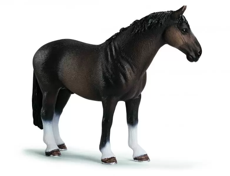 Horse Club - Etalon Hanovre