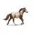 Horse Club - Etalon pinto