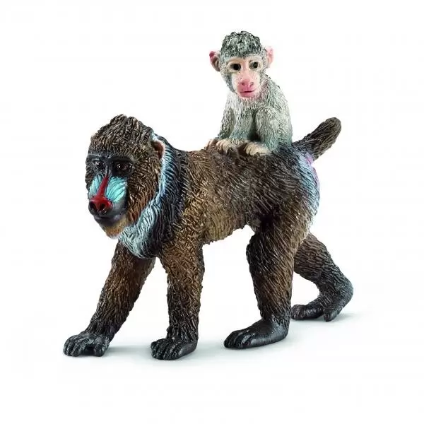 Wild Life - Femelle mandrill avec son bébé