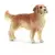 Farm World - Golden Retriever, mâle