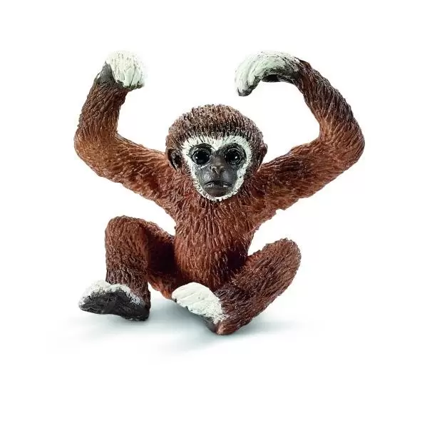 Wild Life - Jeune Gibbon