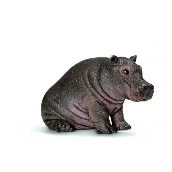 Wild Life - Jeune hippopotame