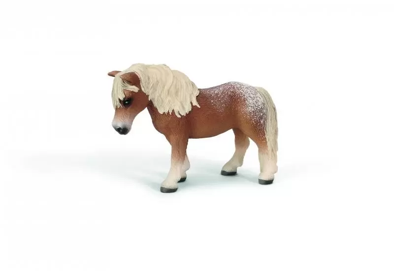 Horse Club - Jument Falabella