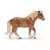 Horse Club - Jument poney island