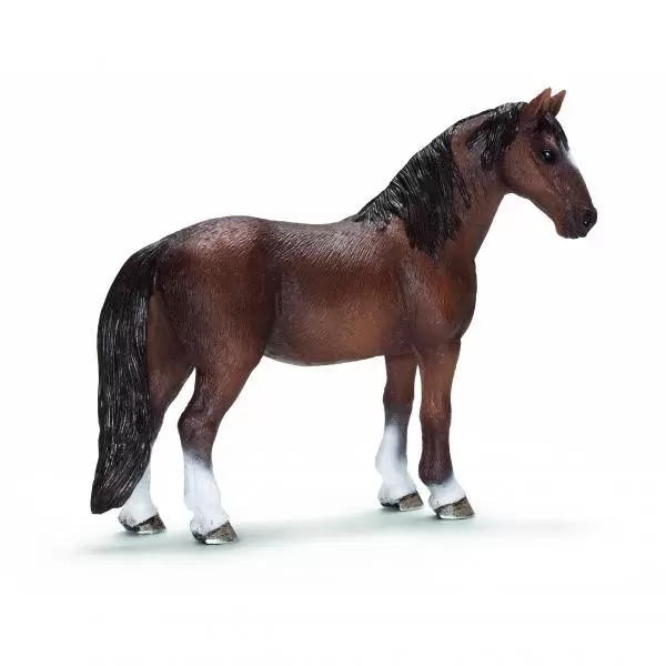 Horse Club - Jument Tennessee Walker