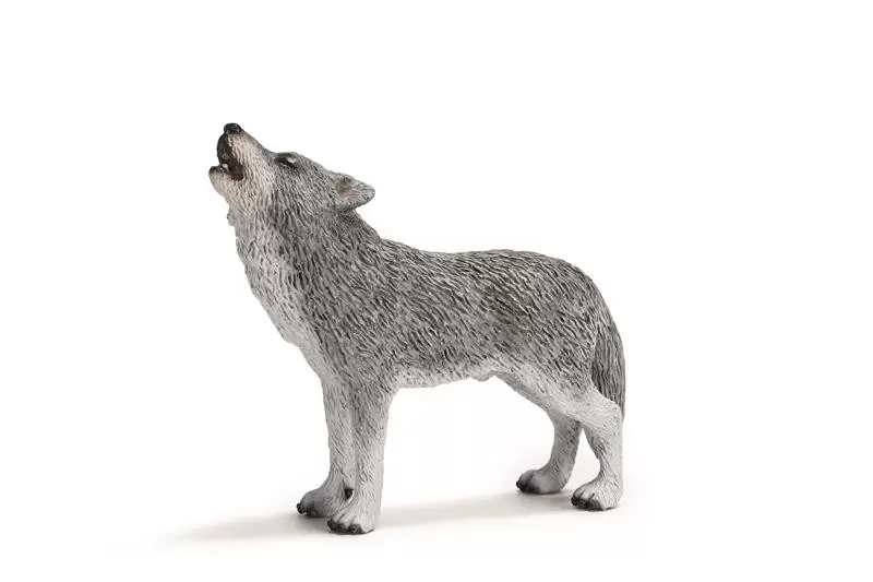 Wild Life - Loup hurlant